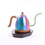 Brewista Artisan 600mL Gooseneck Variable Temperature Kettle - Iridescent -0