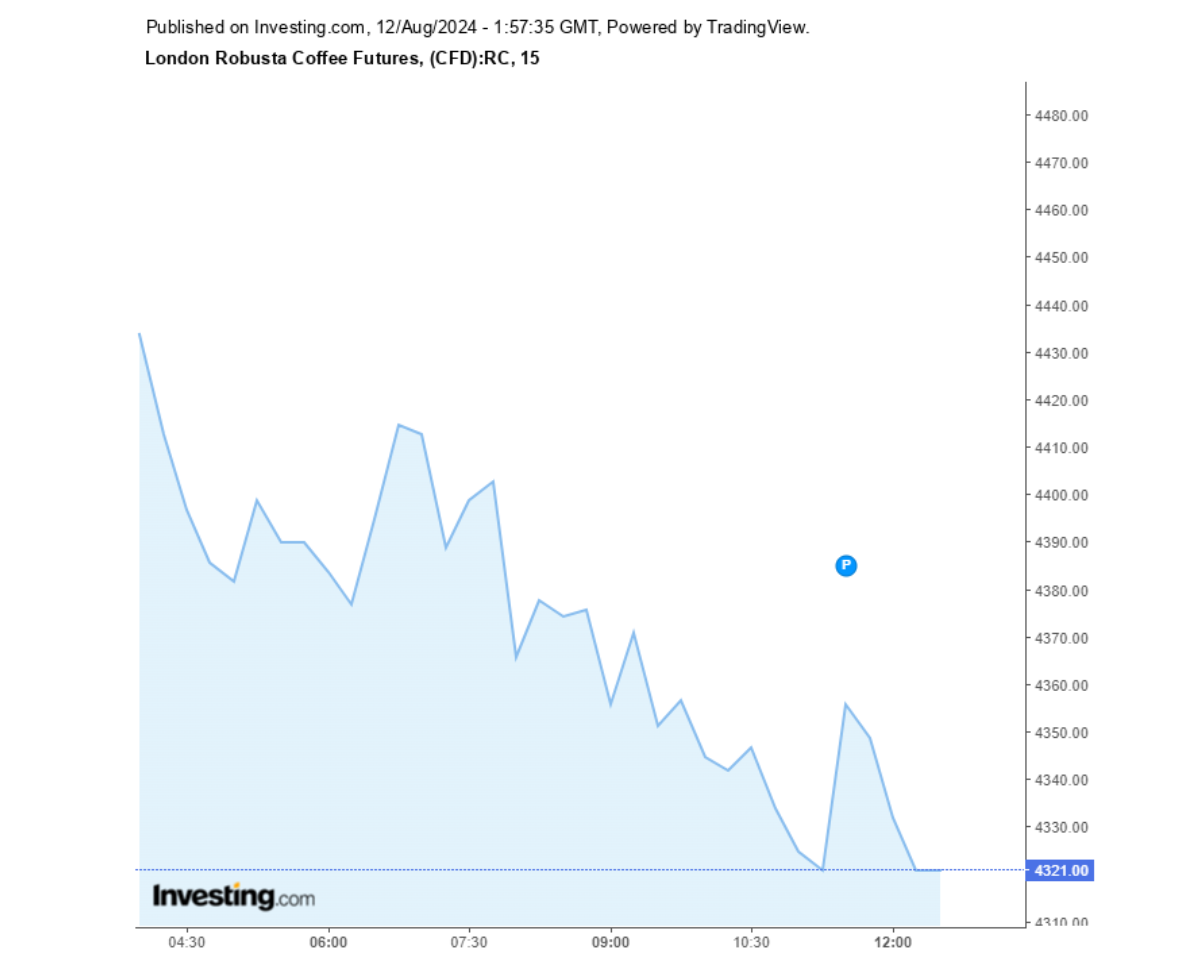 Biểu đồ giá cà phê Robusta sàn London ngày 12/08/2024