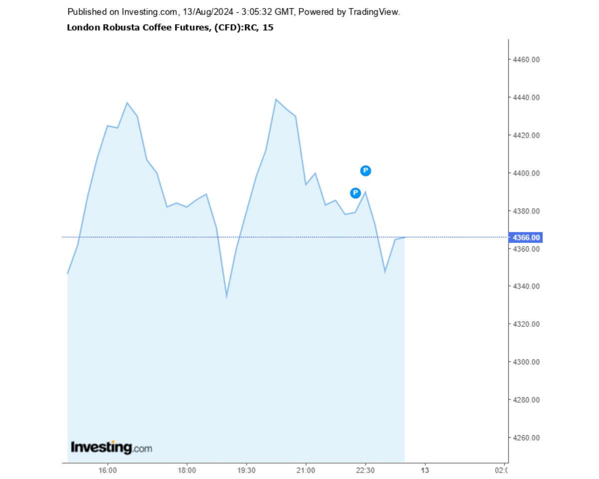Biểu đồ giá cà phê Robusta sàn London ngày 13/08/2024