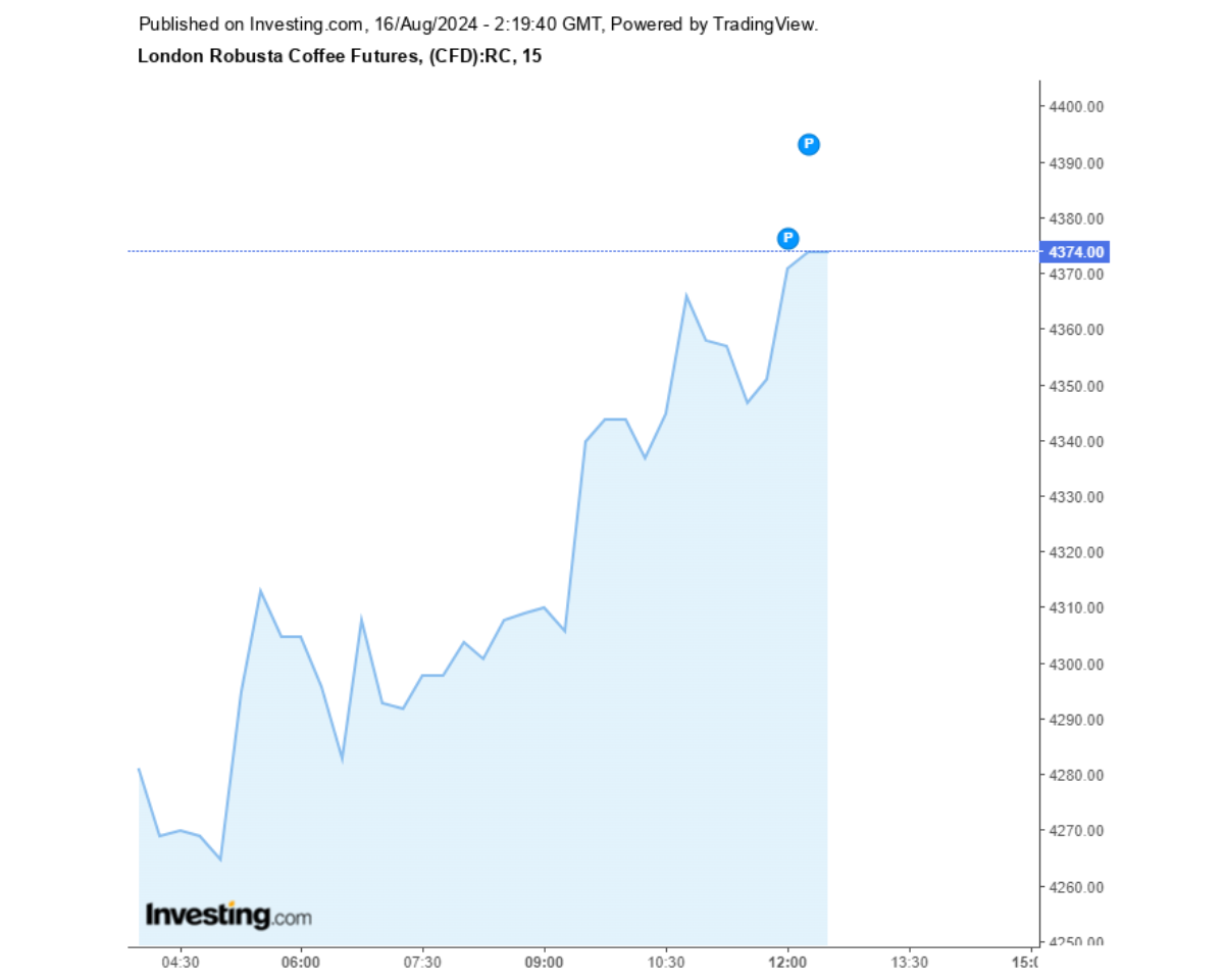 Biểu đồ giá cà phê Robusta sàn London ngày 16/08/2024