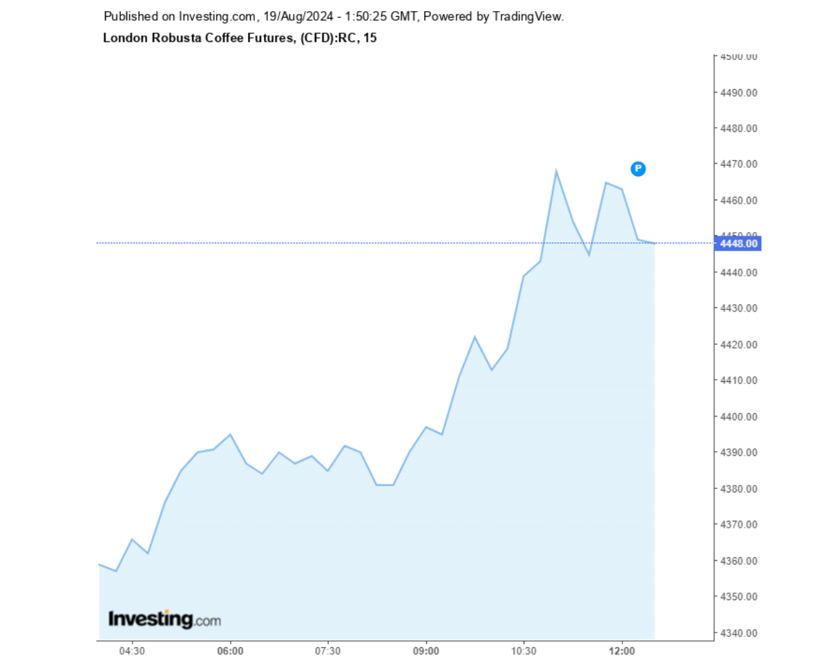 Biểu đồ giá cà phê Robusta sàn London ngày 19/08/2024
