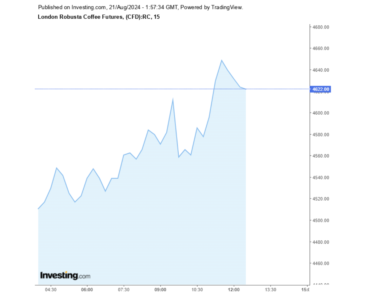 Biểu đồ giá cà phê Robusta sàn London ngày 21/08/2024