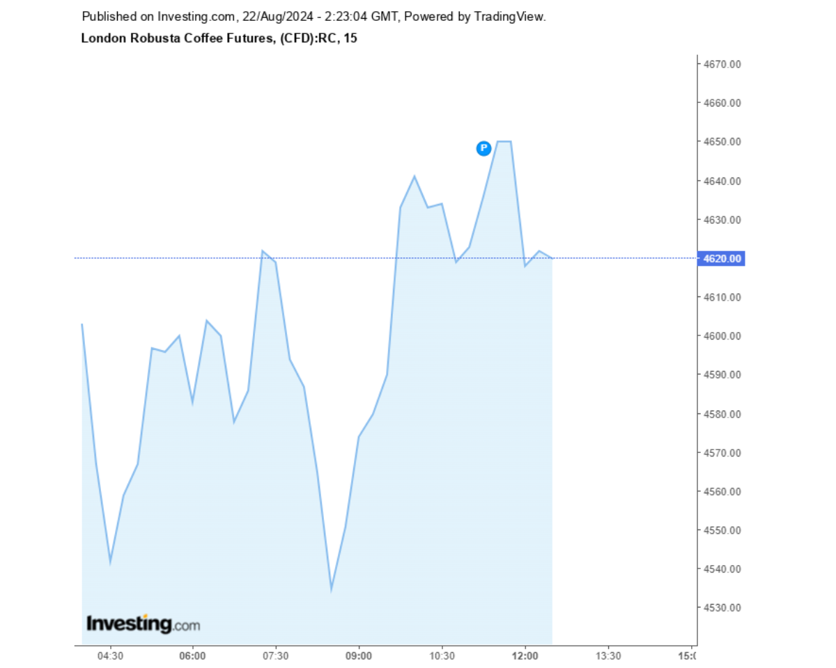 Biểu đồ giá cà phê Robusta sàn London ngày 22/08/2024