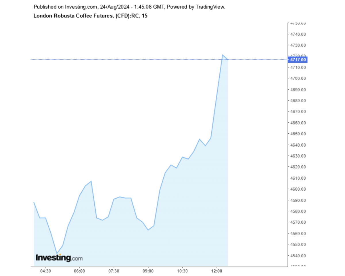 Biểu đồ giá cà phê Robusta sàn London ngày 24/08/2024
