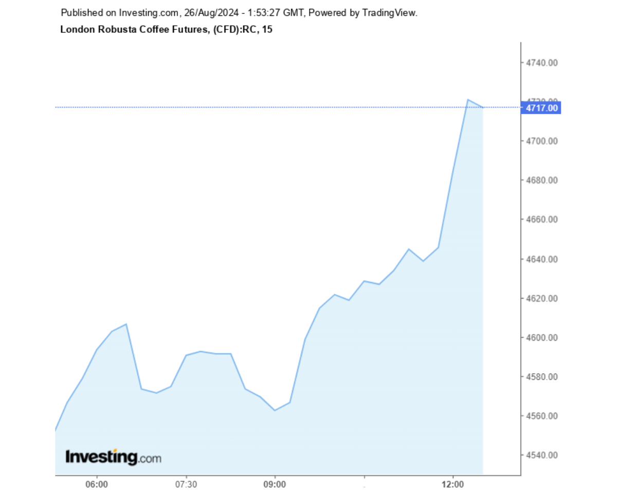 Biểu đồ giá cà phê Robusta sàn London ngày 26/08/2024