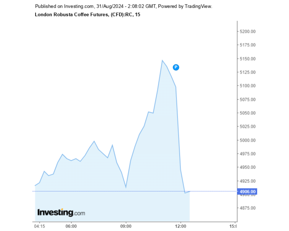 Biểu đồ giá cà phê Robusta sàn London ngày 31/08/2024