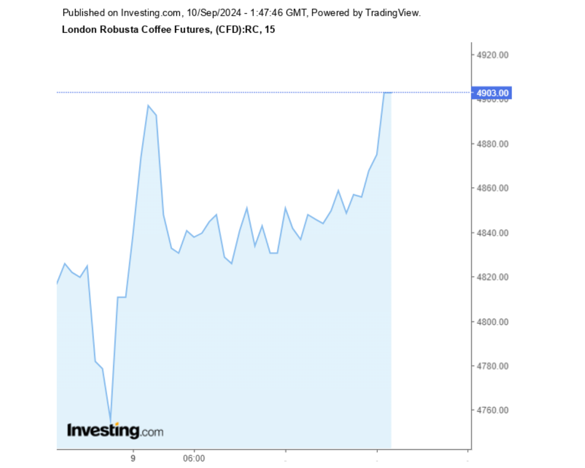 Biểu đồ giá cà phê Robusta sàn London ngày 10/09/2024