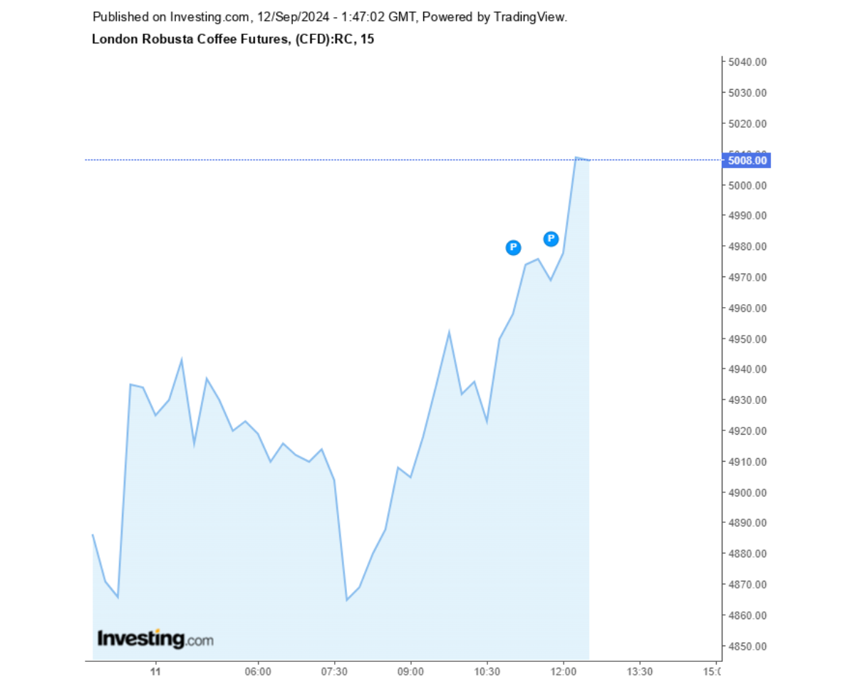 Biểu đồ giá cà phê Robusta sàn London ngày 12/09/2024