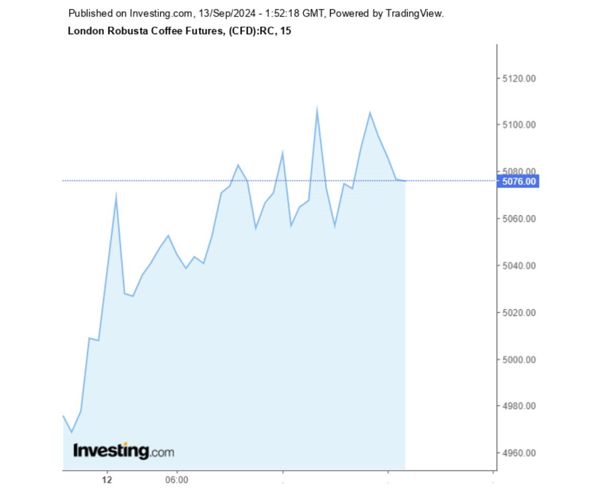 Biểu đồ giá cà phê Robusta sàn London ngày 13/09/2024