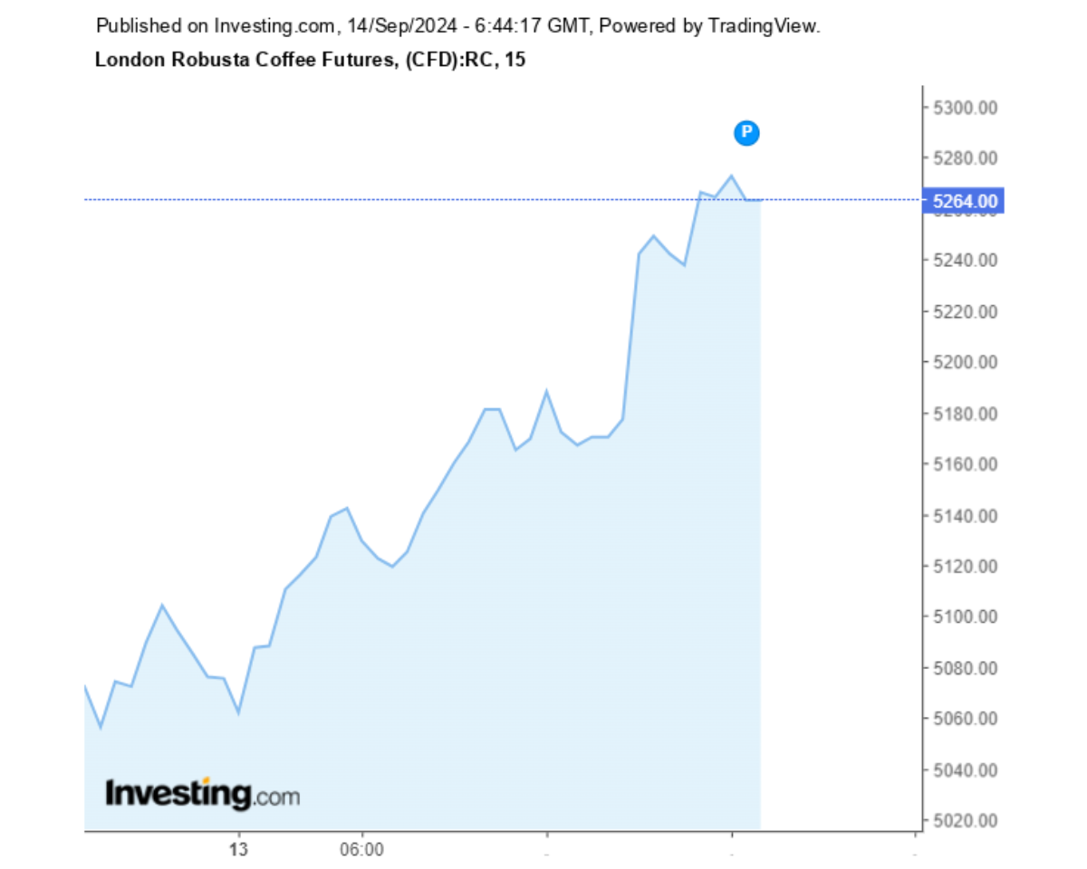 Biểu đồ giá cà phê Robusta sàn London ngày 14/09/2024
