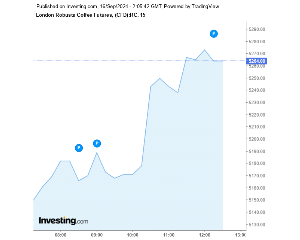 Biểu đồ giá cà phê Robusta sàn London ngày 16/09/2024