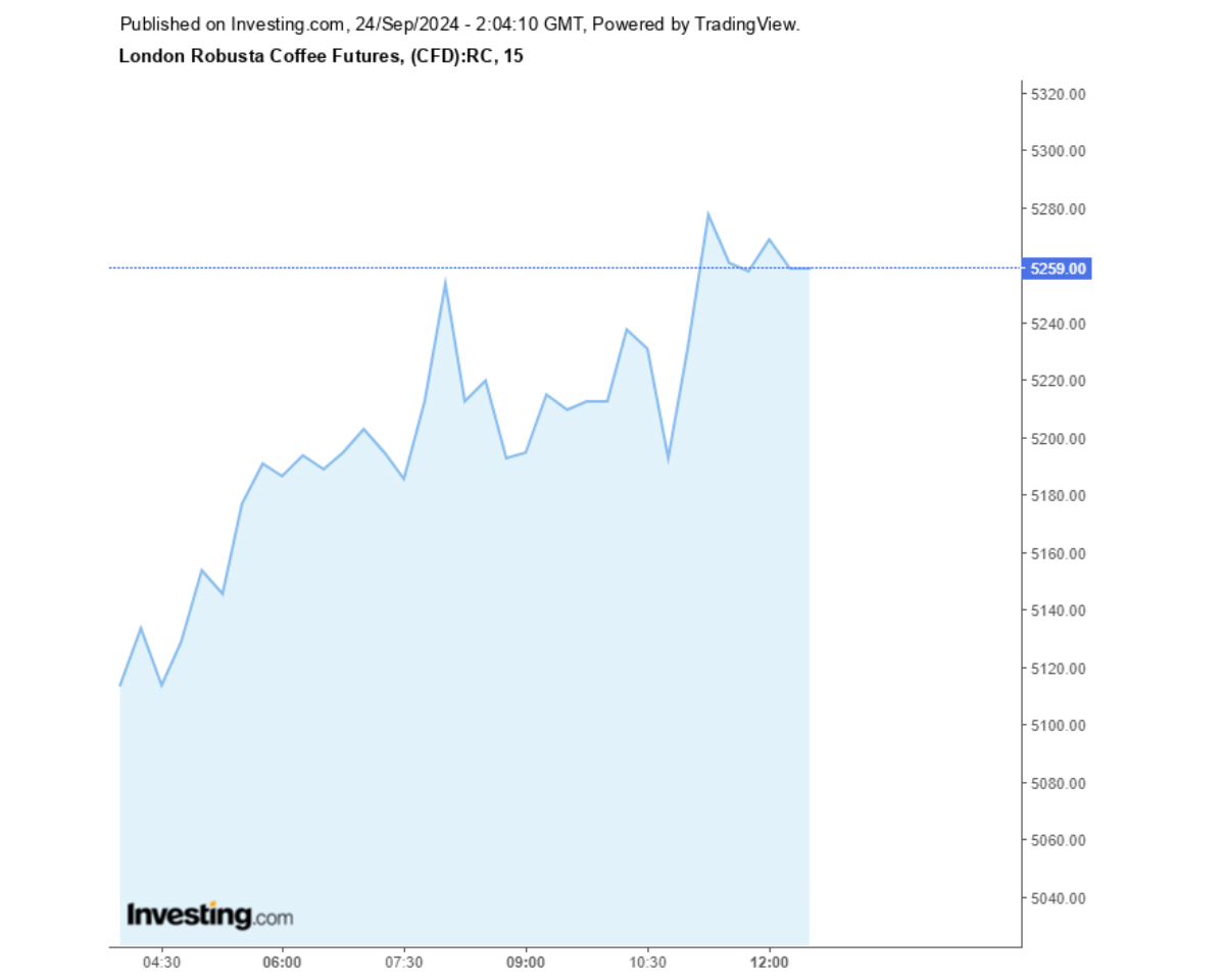 Biểu đồ giá cà phê Robusta sàn London ngày 24/09/2024