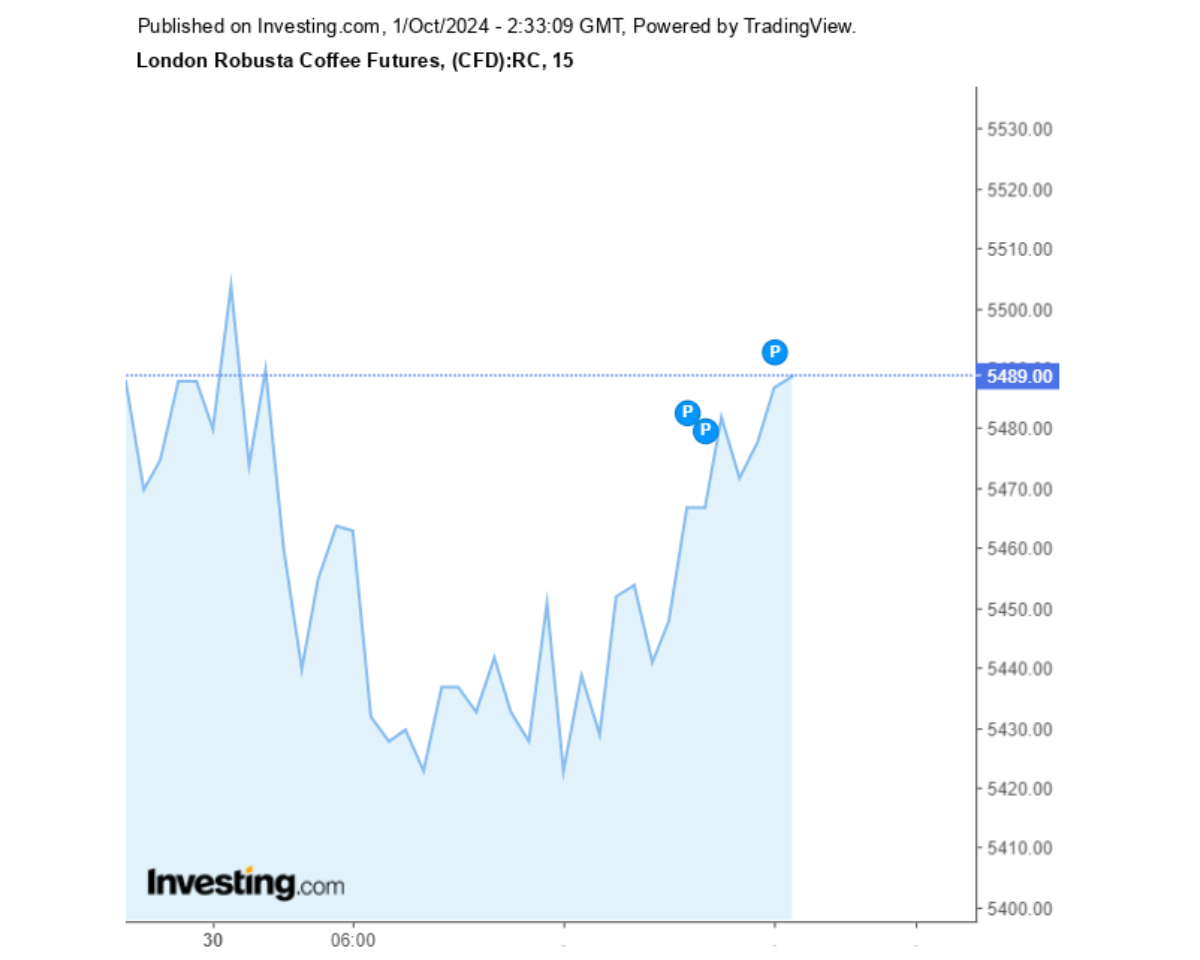 Biểu đồ giá cà phê Robusta sàn London ngày 01/10/2024 