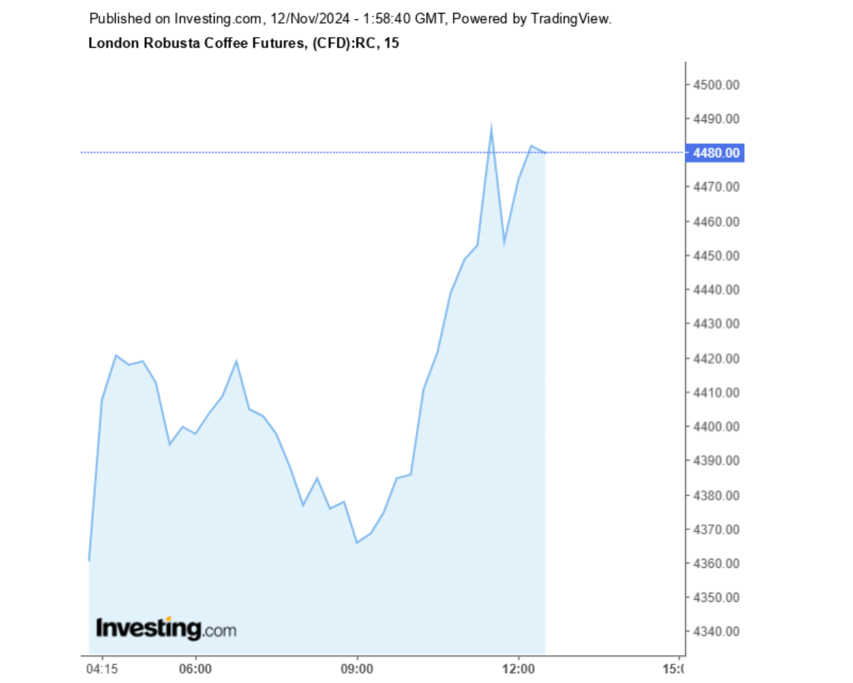 Biểu đồ giá cà phê Robusta sàn London ngày 12/11/2024