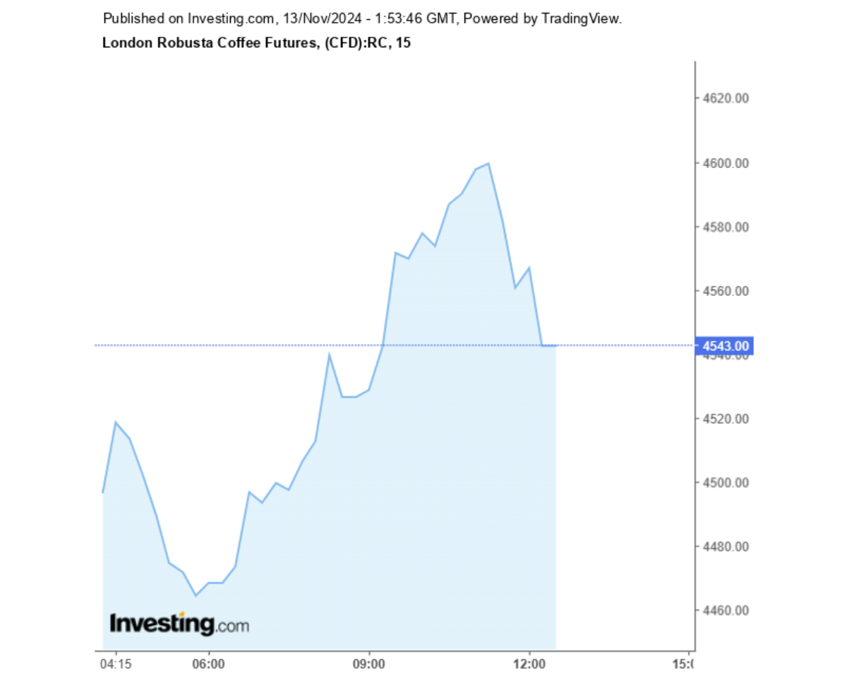 Biểu đồ giá cà phê Robusta sàn London ngày 13/11/2024