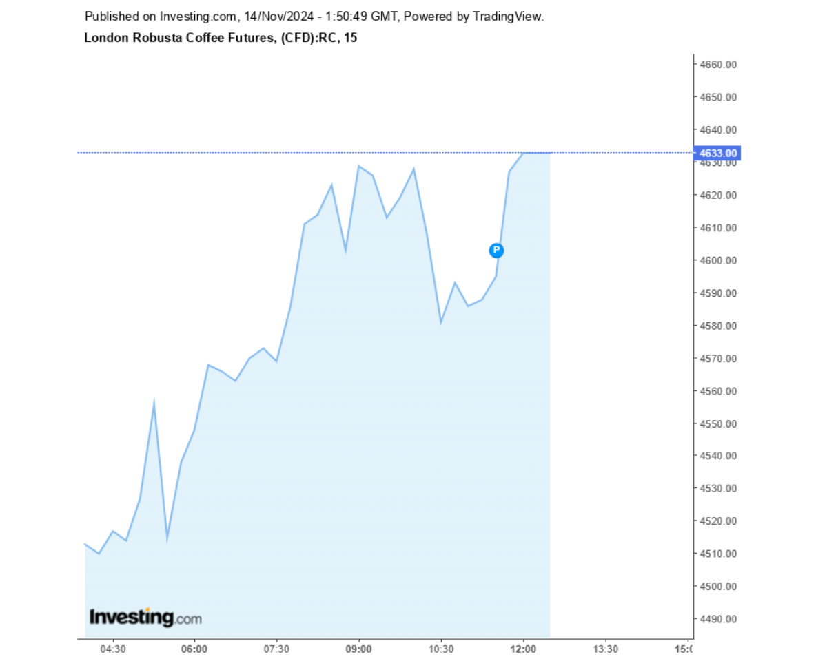 Biểu đồ giá cà phê Robusta sàn London ngày 14/11/2024